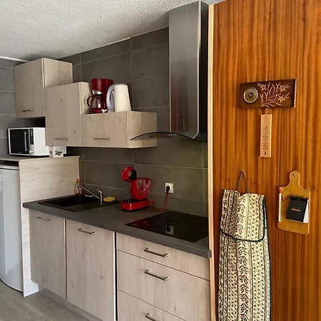 Expose Sud Avec Balcon, A 200m Des Pistes Et Commerces, Animaux Acceptes - Fr-1-445-26 *